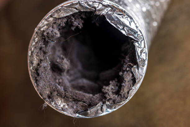 Best Local Air Duct Cleaning Services  in Hayti, PA